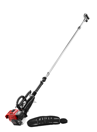 Meaisín fómhair torthaí