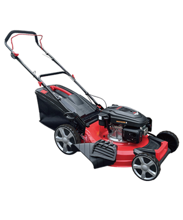 AS22TQL196HA-C 4-stróc Mower faiche faiche