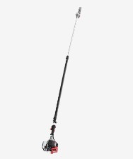 Cad é a chonaic cuaille?